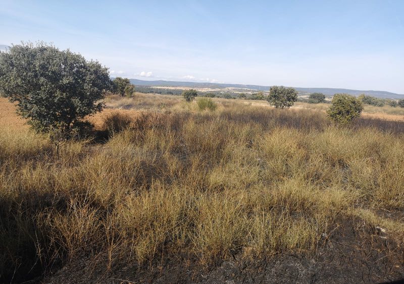 Controlado un nuevo conato de incendio en Aliste