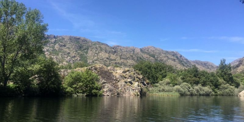 Cryosanabria ofrece una serie de recomendaciones ante las plagas de garrapatas en zonas de media montaña de Sanabria