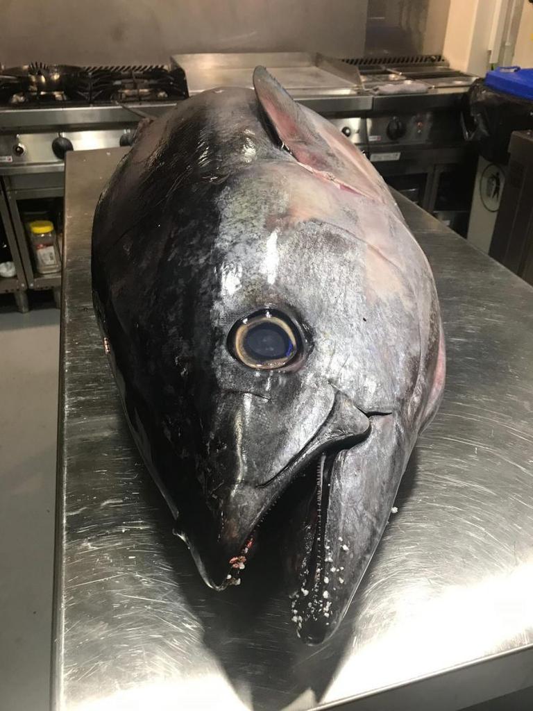 El restaurante la Gorda y su atún de 66 kilogramos serán protagonistas de los paladares más exquisitos del 19 al 23 de junio