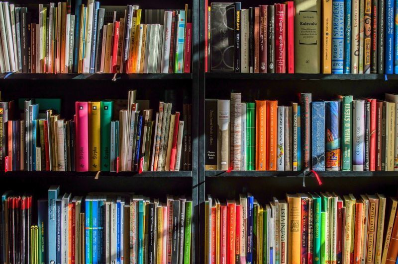 Te enseñamos una web en donde puedes vender tus libros de texto sin moverte de casa