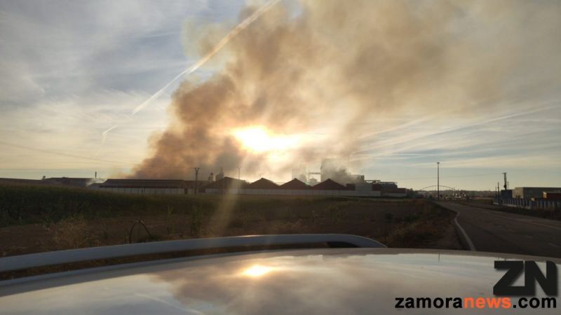 El olor a quemado que inunda la capital, es causa del viento suroeste empuja el humo de COBADU hacia Zamora