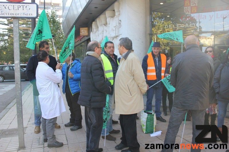 Los sanitarios no asistenciales se concentran frente a la Delegación Territorial de la Junta de CyL en Zamora