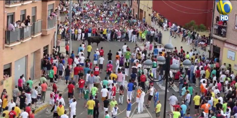 Toro Enmaromado Congreso de Cuerda 2014