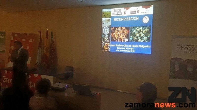 Juan Andrés Oria "Los hongos que tenemos en Castilla y León y, en concreto, en Zamora tienen un valor gastronómico extraordinario"