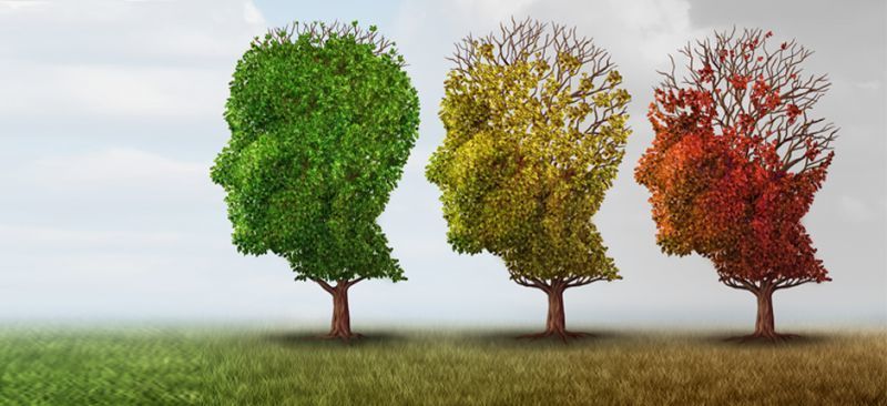Hoy 10 de octubre se celebra el día de la Salud Mental, "Educación inclusiva, salud mental positiva" es el lema de este 2018