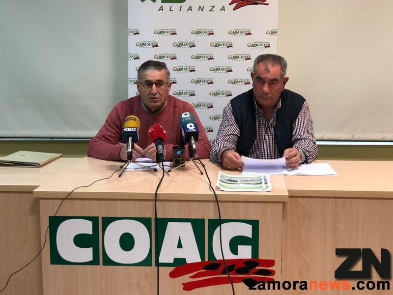 Los ganaderos ovinos se manifestarán el viernes para reclamar a la industria láctea unos precios justos