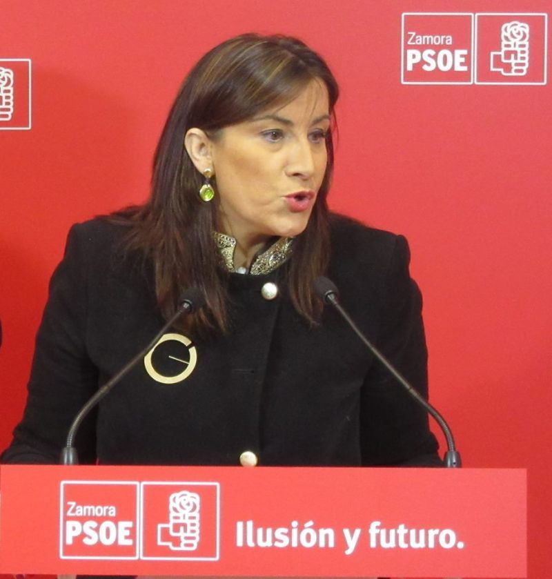 El PSOE llevará "la voz de la calle" a las Cortes y pedirá el cese del consejero de Sanidad