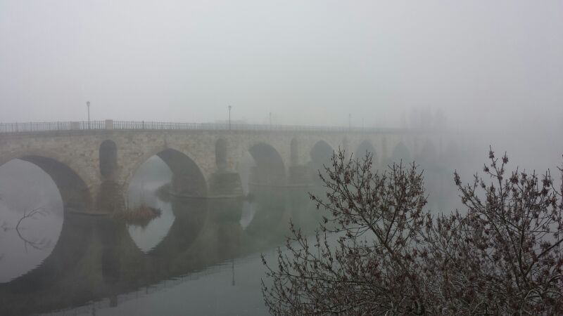Niebla en la zona del Puente de Piedra.