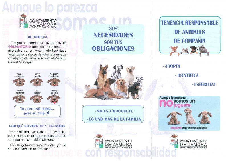 El Ayuntamiento lleva a cabo una campaña sobre tenencia responsable de animales de compañía y el control de las colonias felinas