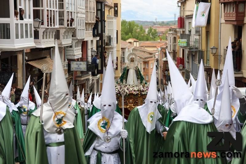 La esperanza reverdece en Zamora al paso de la Virgen