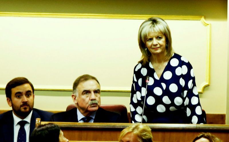 Elvira Velasco Morillo toma posesión de su acta de diputada en representación de Zamora, tras el paso de Isabel Blanco al gobierno autonómico