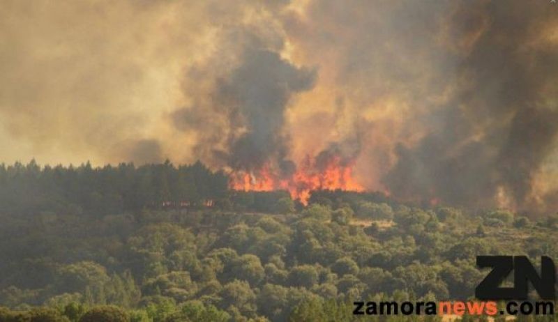 Estos son los consejos sobre cómo actuar si te encuentras en el monte durante un incendio