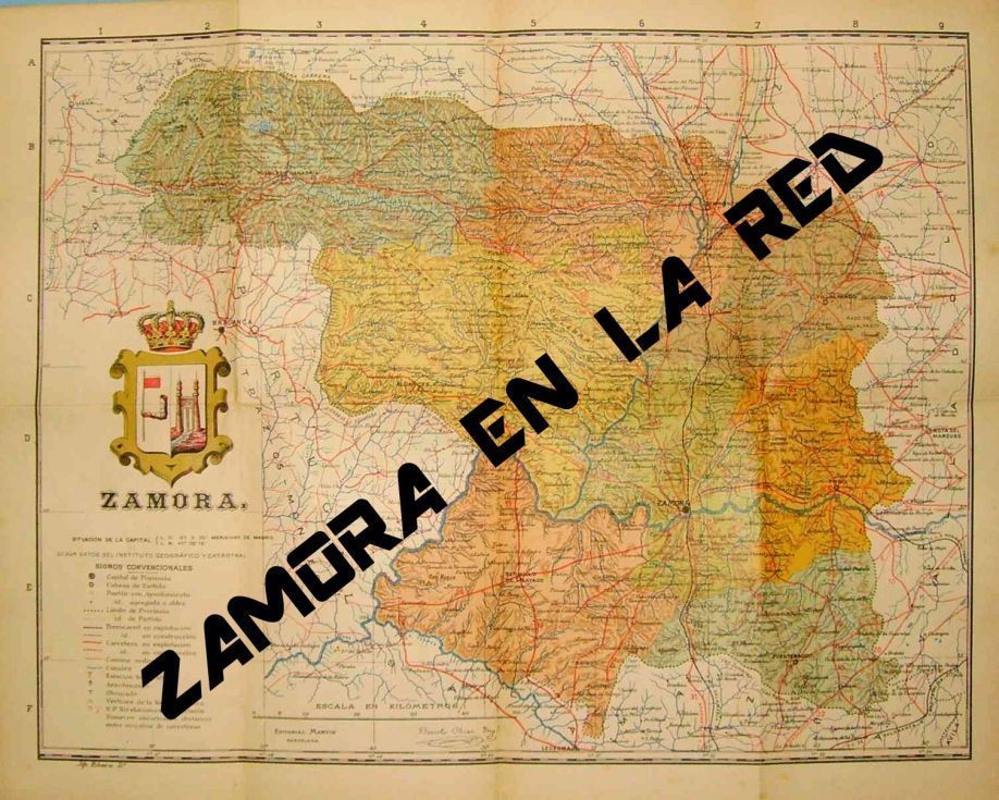 Zamora en la Red