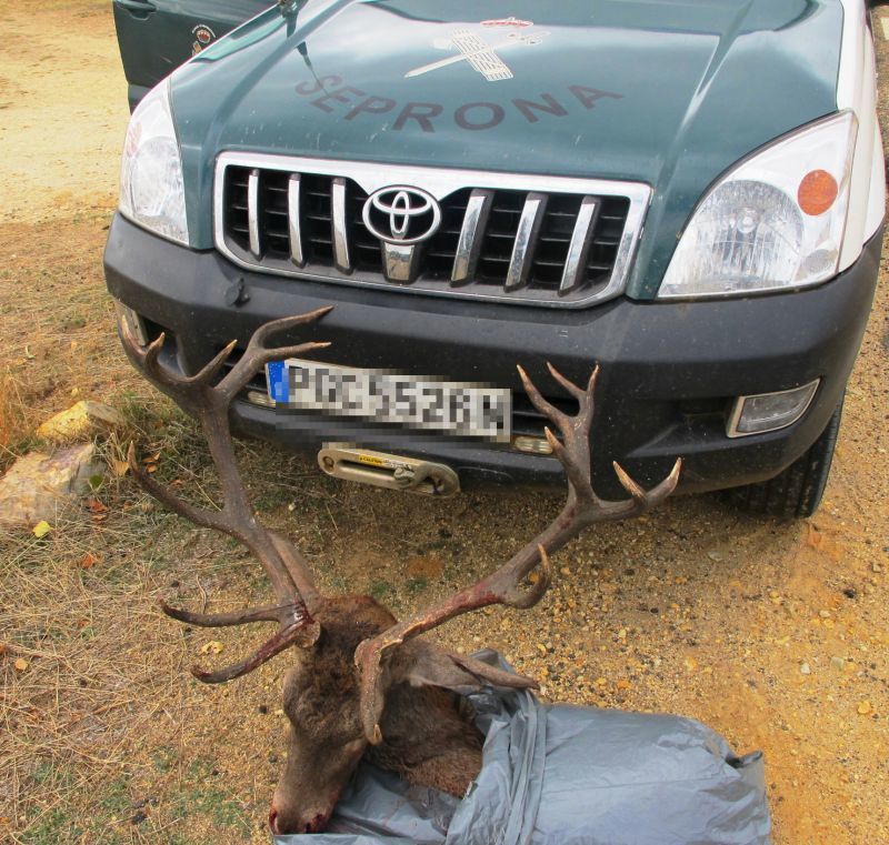 La Guardia Civil investiga a 16 personas en Zamora como presuntos autores de varios delitos por la comercialización de carne de caza mayor
