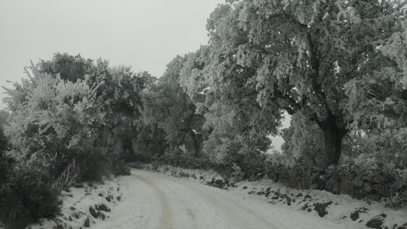 Zamora amanece bajo aviso amarillo