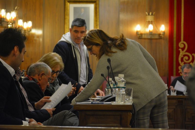 El primer pleno de la Diputación del año se salda con un debate sobre la Tauromaquia y la aprobación de varias mociones por unanimidad