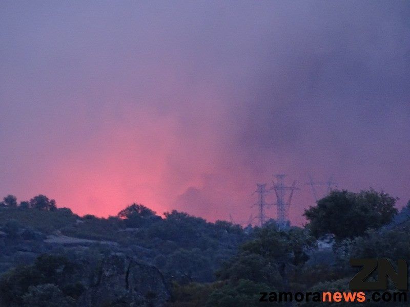 Prosigue la escalada incendios intencionados y alevosos en la provincia de Zamora, dos nuevos incendios provocados uno en Pereruela y otro en San Ciprián