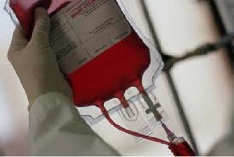 Dona sangre es la acción más generosa de vida