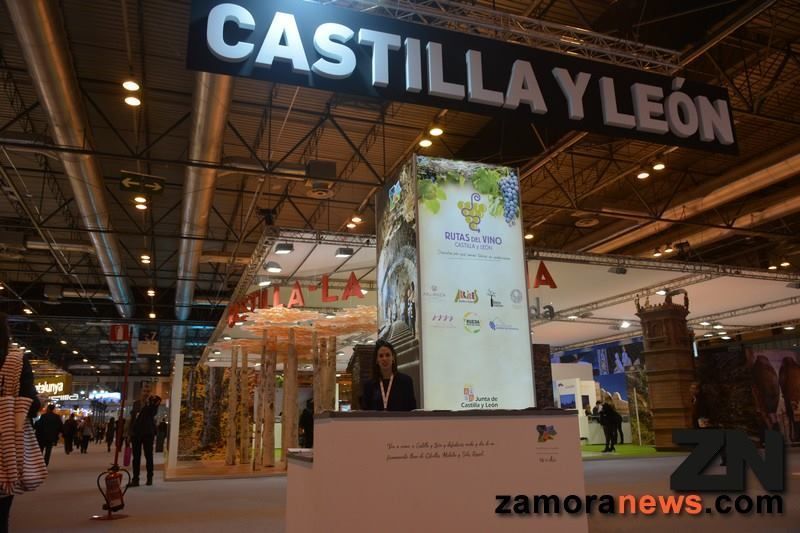 Cifra récord en el turismo de Castilla y León, más de 8 millones de turistas visitaron la Comunidad en la que el también somos referente en el turismo rural