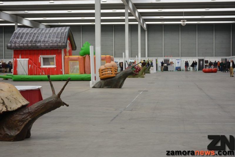 El descafeinado día de la provincia de todos los zamoranos de pueblo