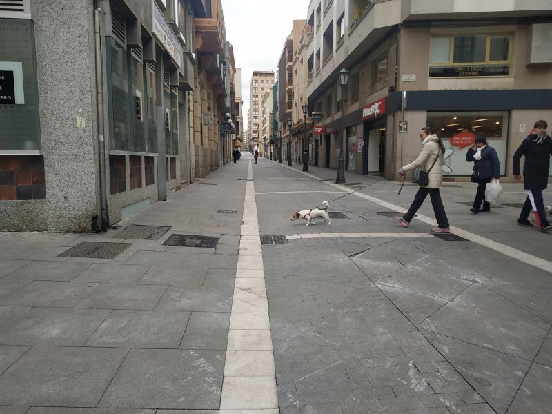 El Ayuntamiento cuidará de las mascotas de los enfermos de COVID-19
