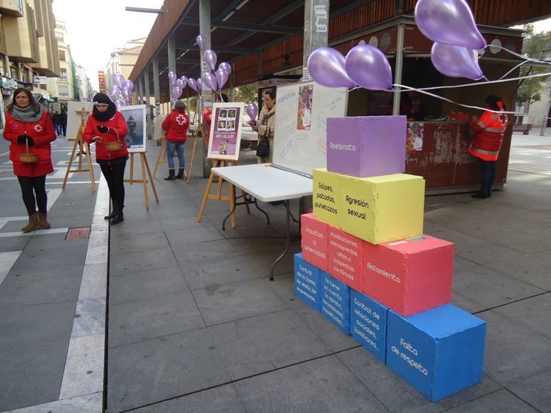 Una actividad organizada por Cruz Roja de Zamora.
