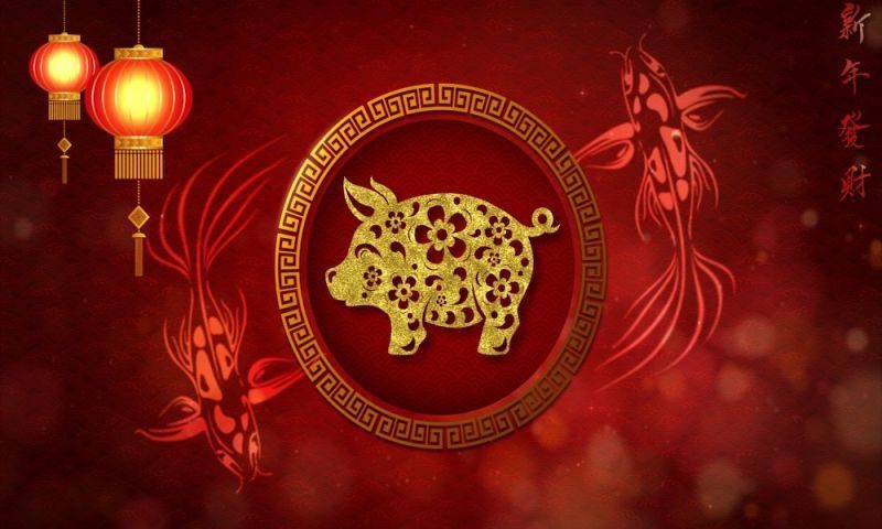 Feliz año nuevo lunar y feliz año nuevo del cerdo 新年快乐 Xīnnián kuàilè