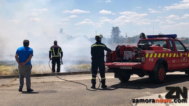 Incendio en Morales del Vino, los bomberos de Zamora intentan atajar las llamas en un descampado próximo a la Calle Luz en el Camino de Cazurra