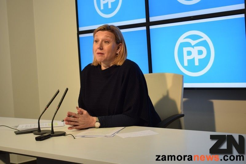 El Partido Popular pide a la Junta que se enfrente al Gobierno por la reforma educativa