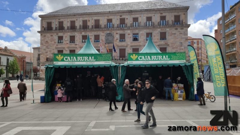 Una Carpa verde en la Plaza de la Constitución acoge a cinco librerías de Zamora para festejar el día del libro