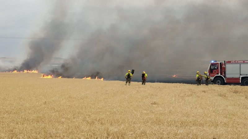 Extinguidos los dos incendios en Zamora y Algodre, el primero accidental y el segundo por negligencias