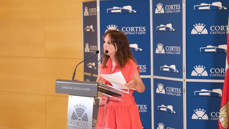 PSOE: “Mañueco se esconde para no dar explicaciones de su incumplimiento del Dialogo Social”
