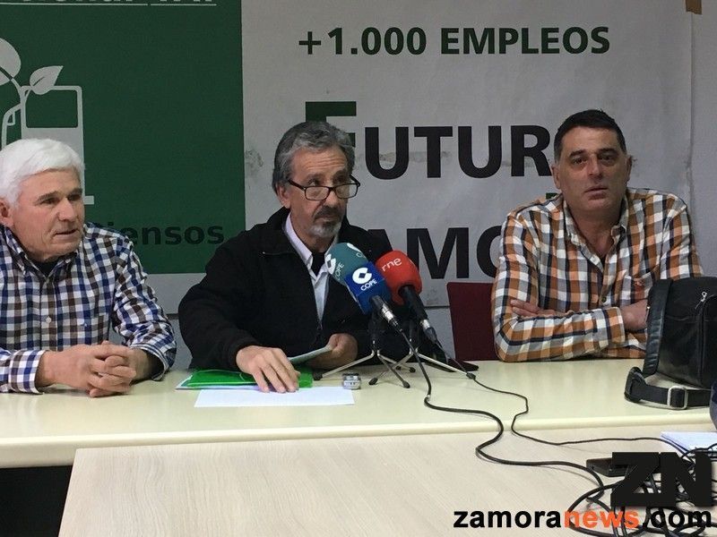 La Plataforma Pro Biorrefinería solicita a Iberdrola y a la Junta que amplíen la concesión de los terrenos para la biorrefinería de Barcial
