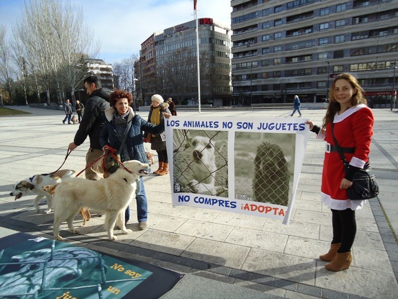 Una actividad organizada por Scooby en Zamora.