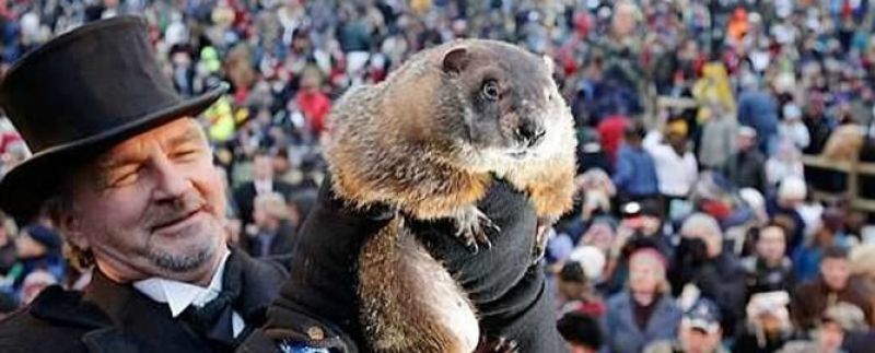 El Día De La Marmota Filmaffinity