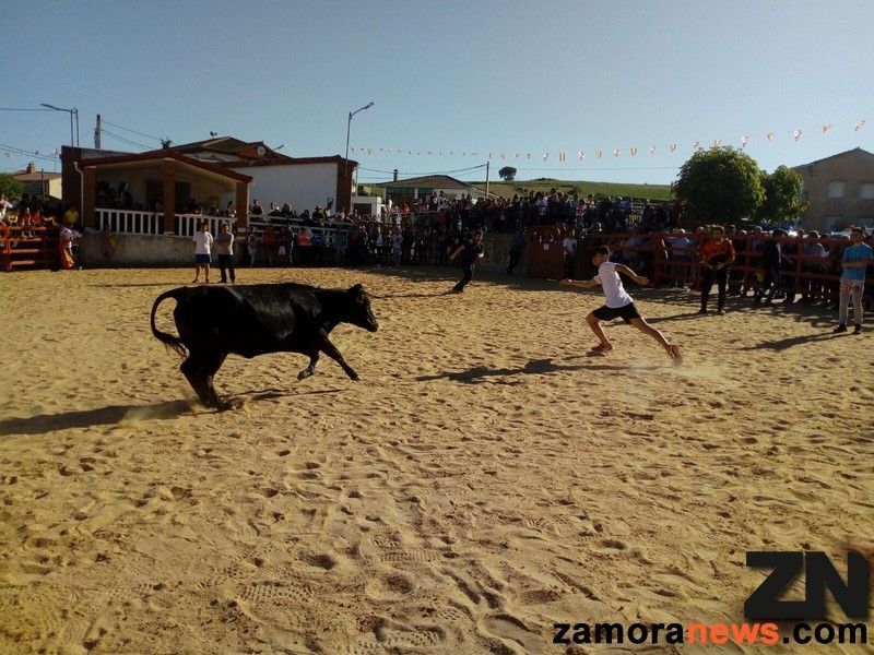 Manzanal del Barco honra a San Torcuato y San Isidro
