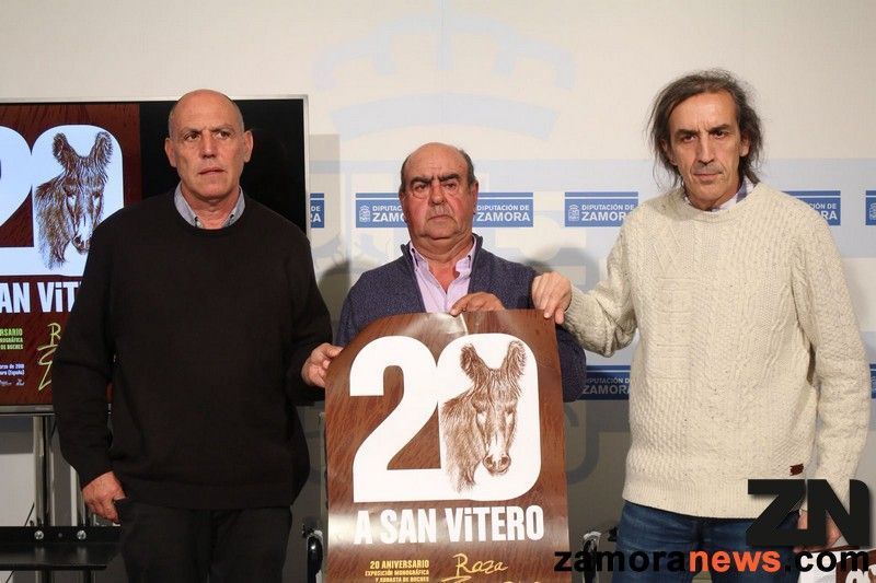 San Vitero volverá a ser el epicentro de la raza asnal alistano-sayaguesa, un aniversario de vida y tradición 20 años después