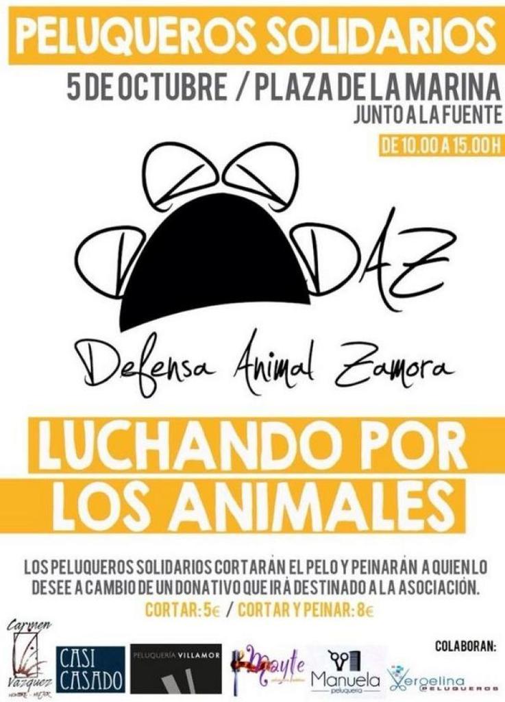 Defensa Animal organiza "Peluqueros Solidarios"
