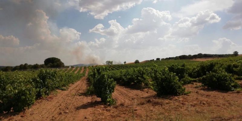 Agentes medioambientales extinguen un pequeño fuego en Venialbo