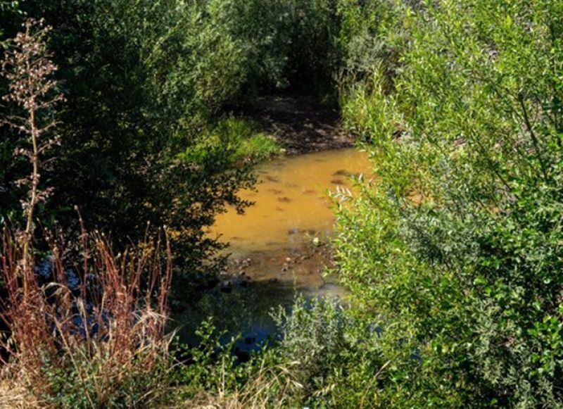 El PP de Puebla de Sanabria denuncia el estado del Rio Tera