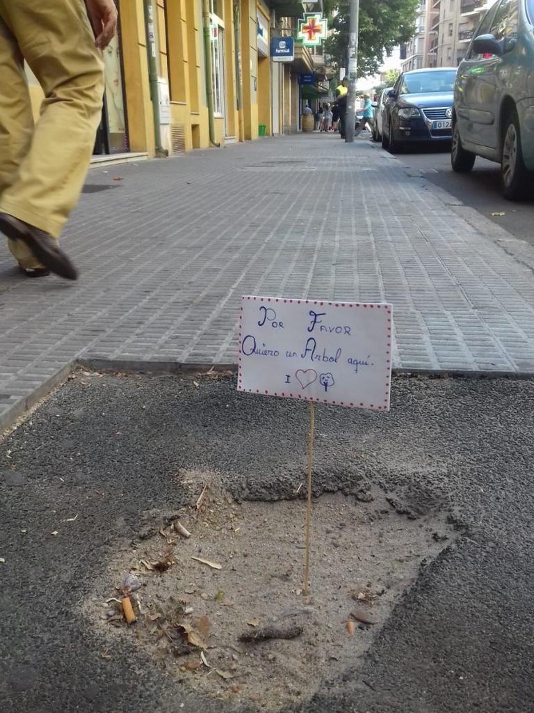 Un árbol por favor, ¿saben dónde?