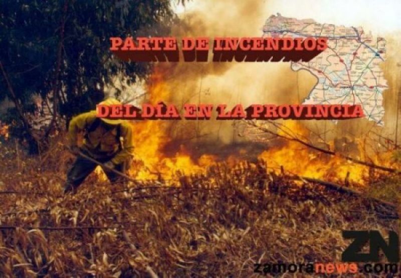 Un incendio en Sejas de Aliste quema dos hectáreas de arboleda