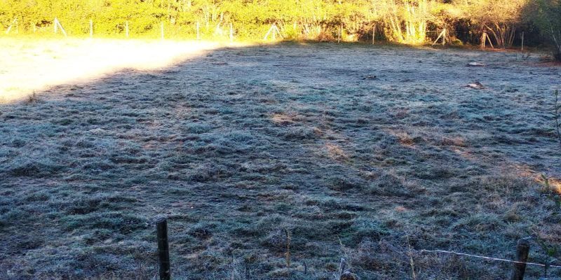 Prosigue el descenso térmico y las nieblas matutinas