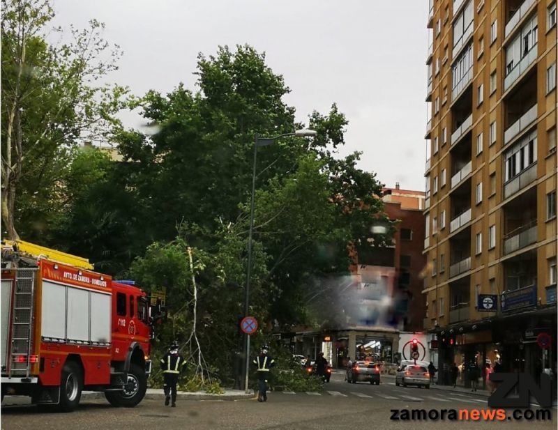 Los bomberos de Zamora actúan en la Marina ante la caída de las ramas de un árbol y en la calle Santa Teresa ante la caída de cascotes