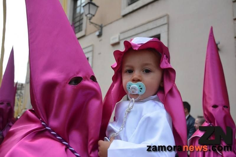 La Borriquita asegura el relevo generacional en la Semana Santa zamorana