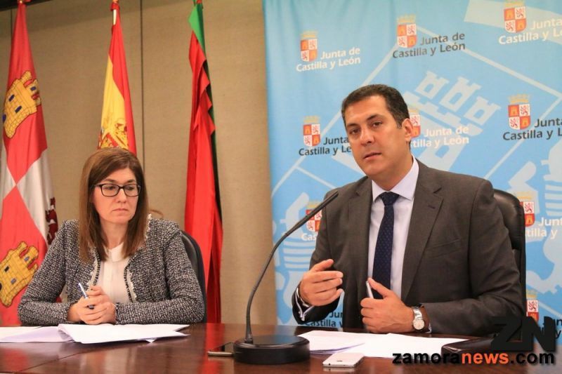 Vigilantes con la situación de la peste porcina africana y con la avispa asiática en la provincia de Zamora