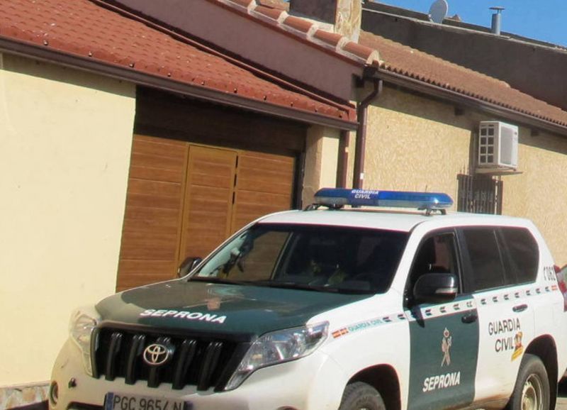 La Guardia Civil de Zamora investiga a una persona por la destrucción de nidos de la especie Delichon urbicum