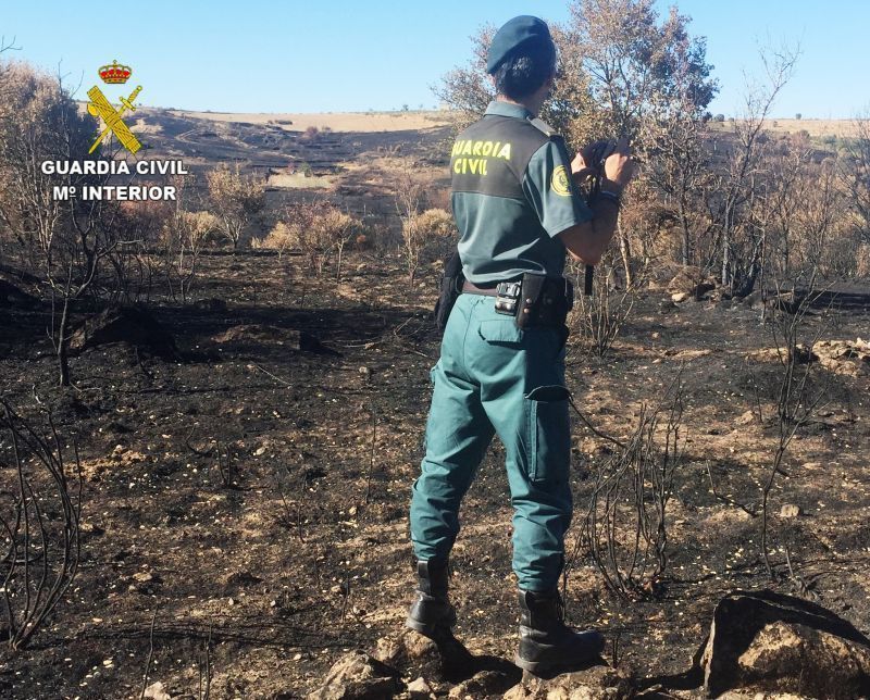 La Guardia Civil investiga a una persona como supuesto autor de un delito de incendio forestal de Pino del Oro