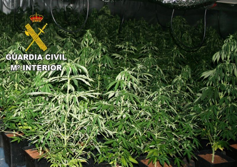 La Guardia Civil de Zamora investiga a un varón de 35 años sorprendido en Tábara vendiendo marihuana y cocaína y a otro por posesión y cultivo de marihuana