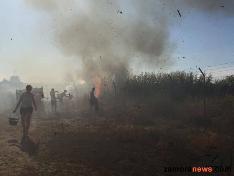 CCOO califica la campaña de incendios forestales “Sin novedad” gracias a la climatología